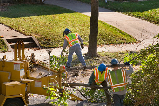 Best Firewood Processing and Delivery  in Lake Delton, WI